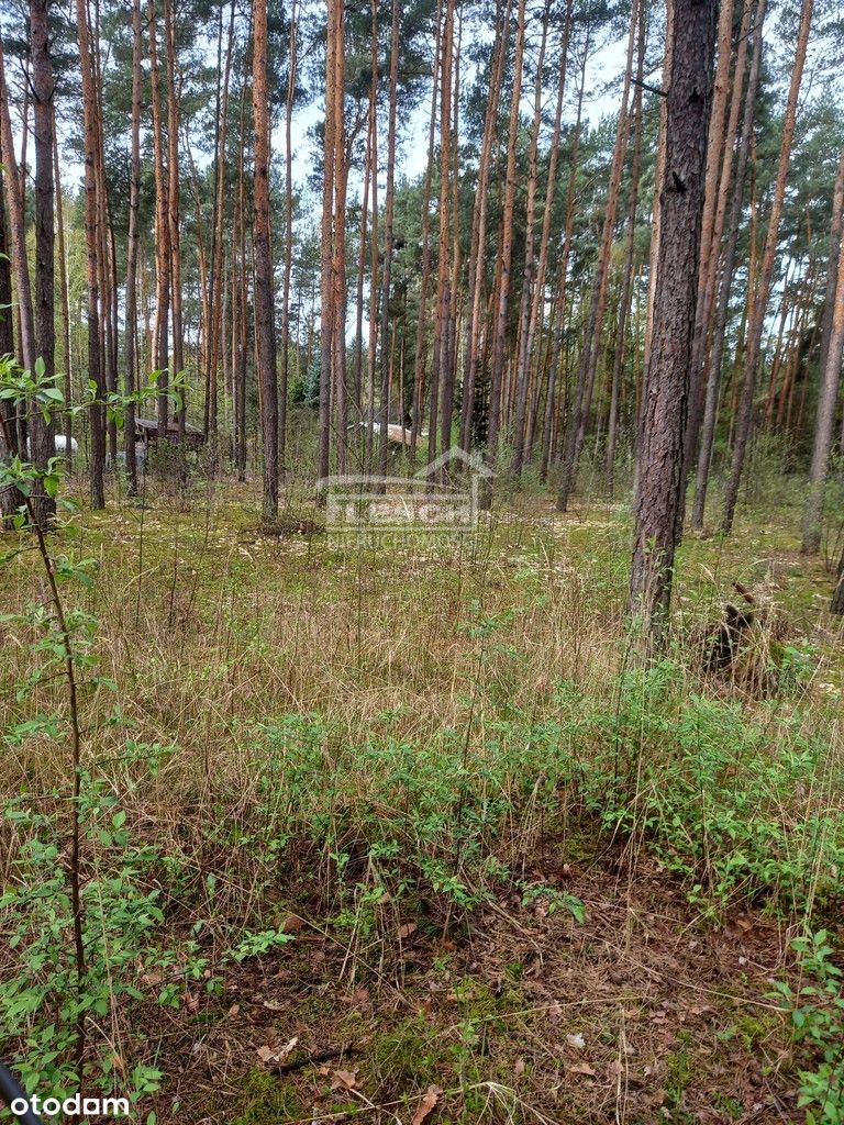 Klimatyczna działka 1500 m2 Siestrzeń