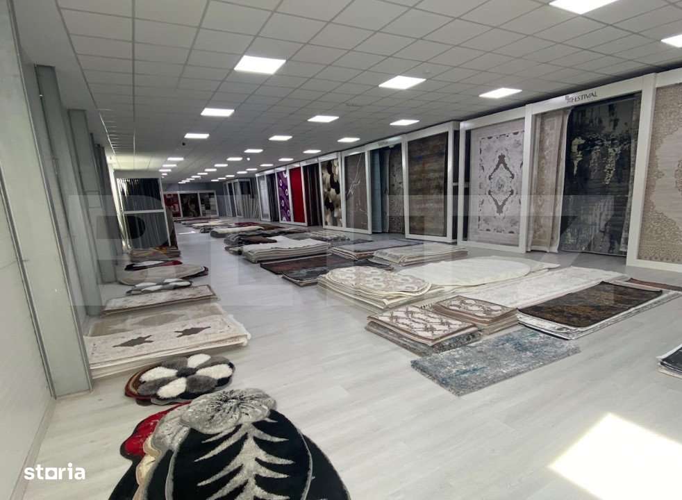 Super oferta! HALA la cheie, 1100 mp, Calea bucuresti, pretabila showr - Imagine principală: 5/10