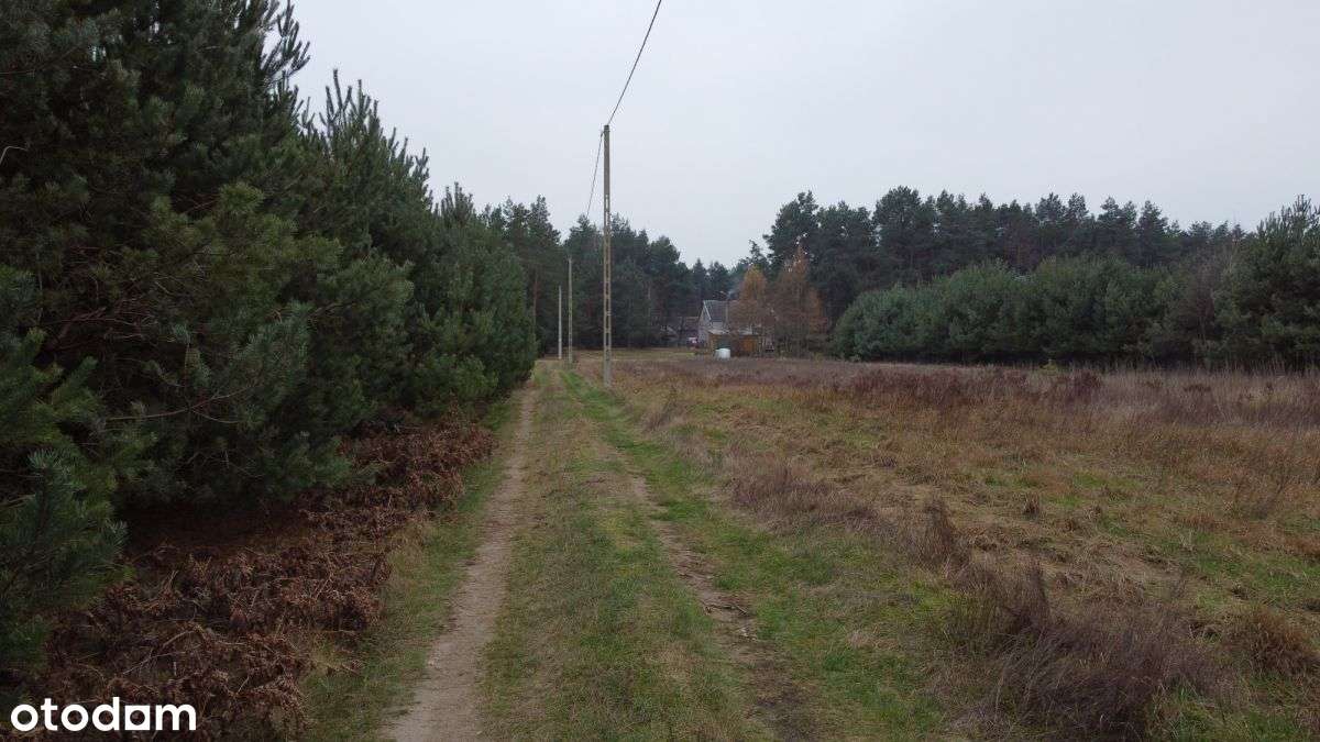 Działka budowlana z lasem-16