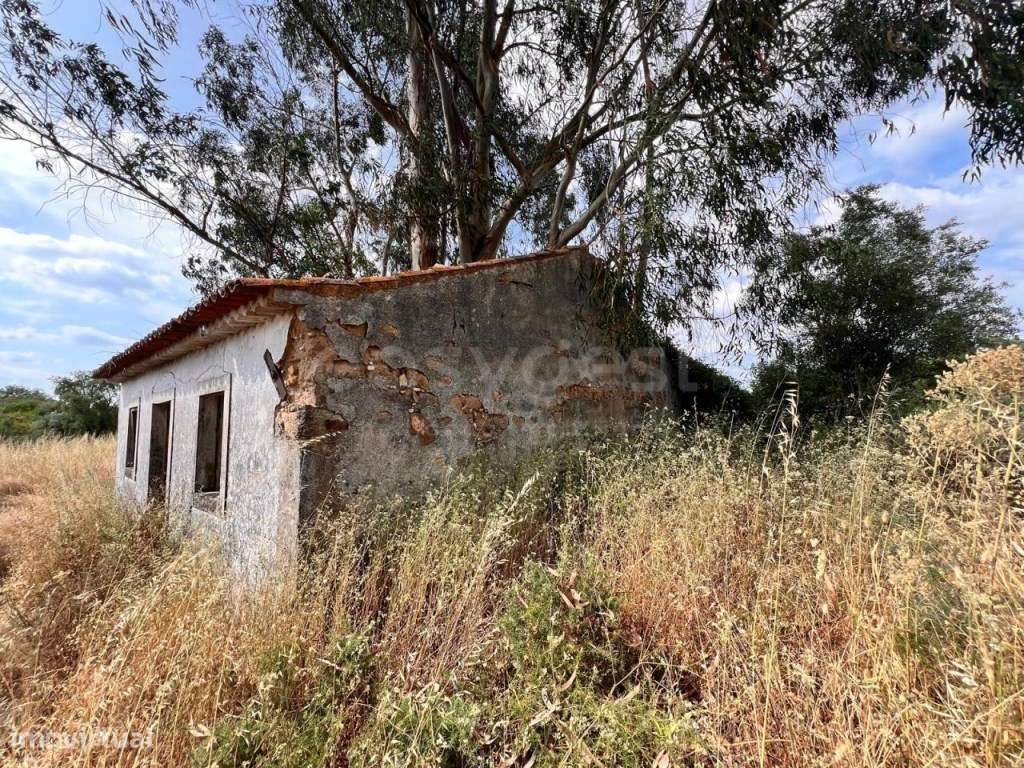 Moradia para recuperar em terreno com cerca de 1 ha em Tomar - Grande imagem: 2/27
