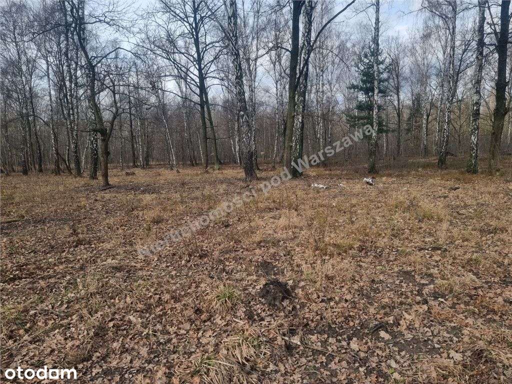 Działka Budowlana W Kobyłce 150 M Od Głównej Drogi-7