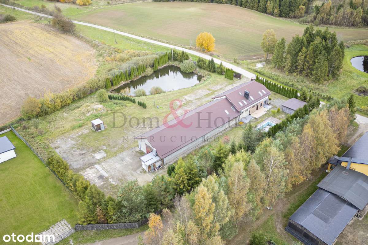 Hala Biura Warsztat Produkcja Black Friday - Pełny obrazek: 4/20