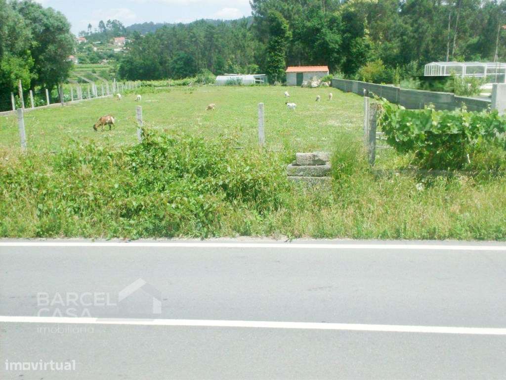 Terreno de construção em Balugães - Barcelos - Grande imagem: 1/7