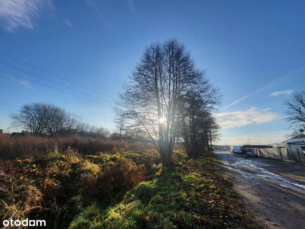 Działka budowlana / Załom - Pełny obrazek: 3/4