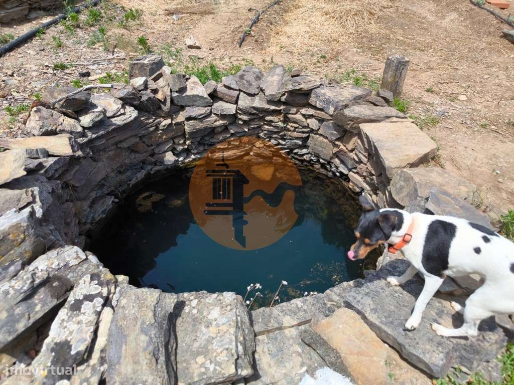 TERRENO COM 9.550 M2 - COM POÇO - NA CARRAPATEIRA EM TAVIRA - ALGARVE - Grande imagem: 5/42