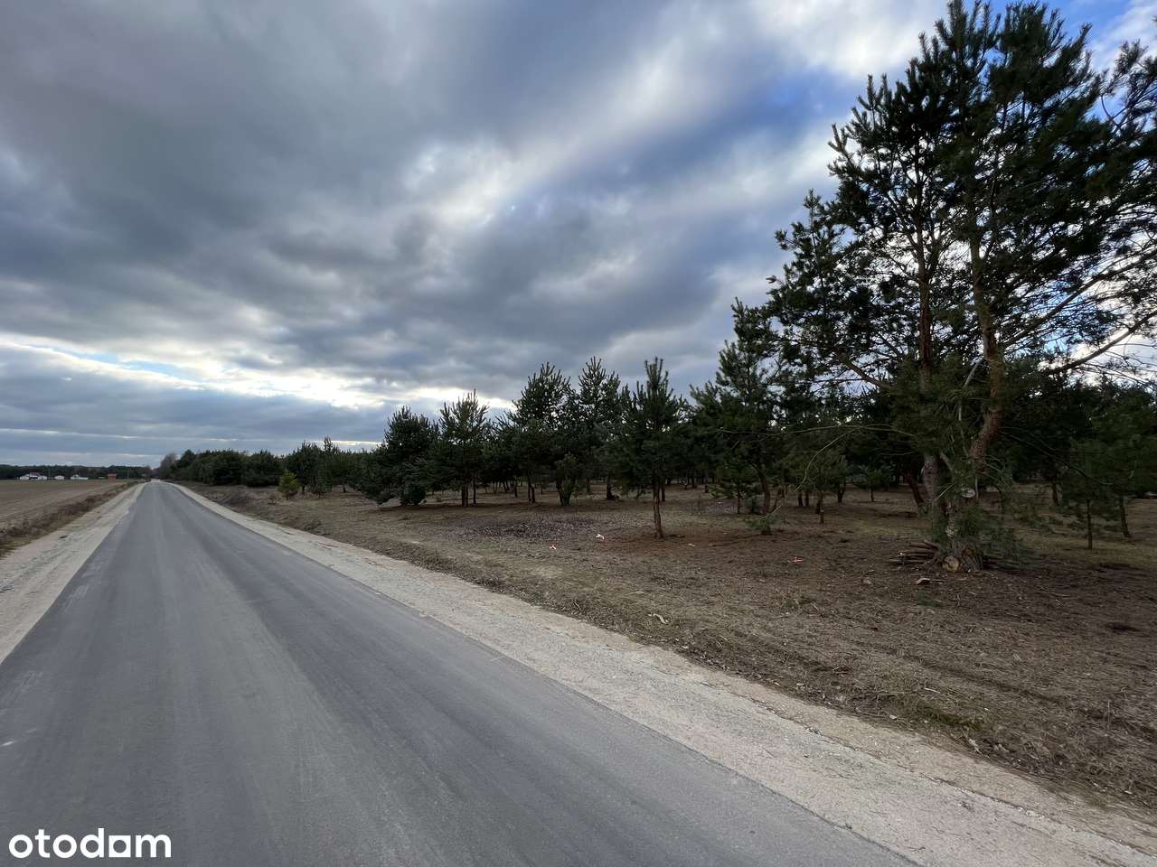 Działki budowlane pośród jezior i lasów-2