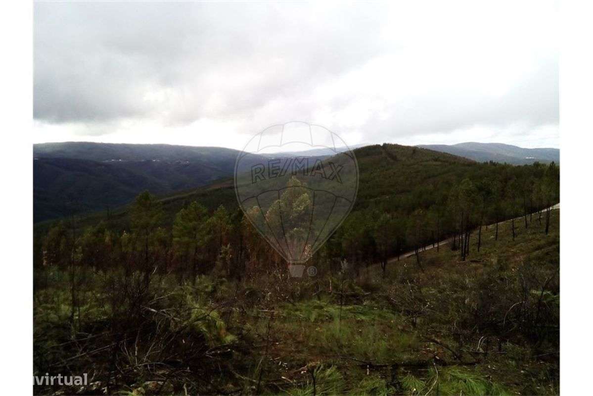 Quinta T0 para venda - Grande imagem: 4/10