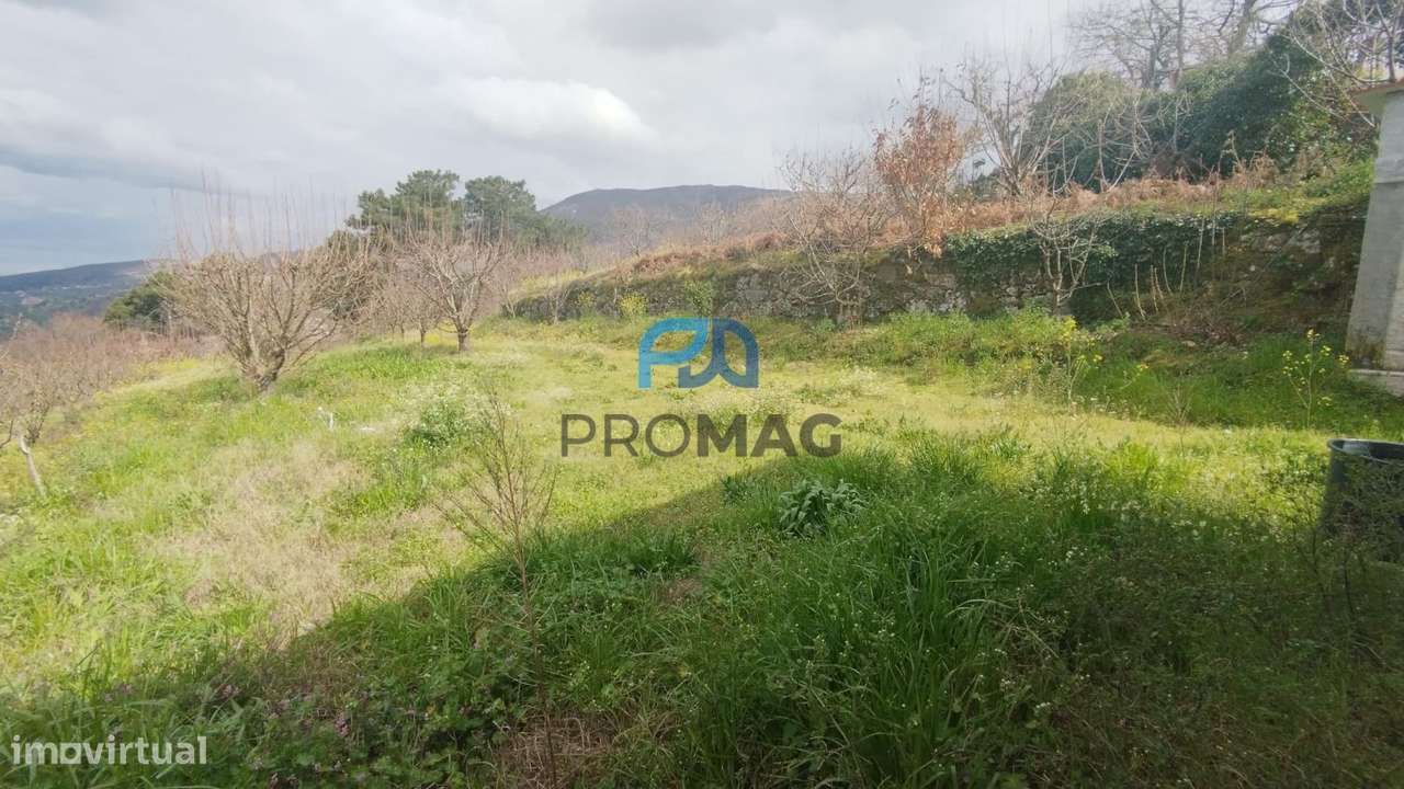 Terreno Urbanizável de 7959 m² com Armazém-14