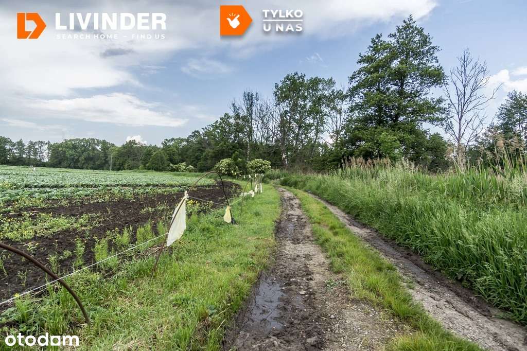 Land, 2100 m²