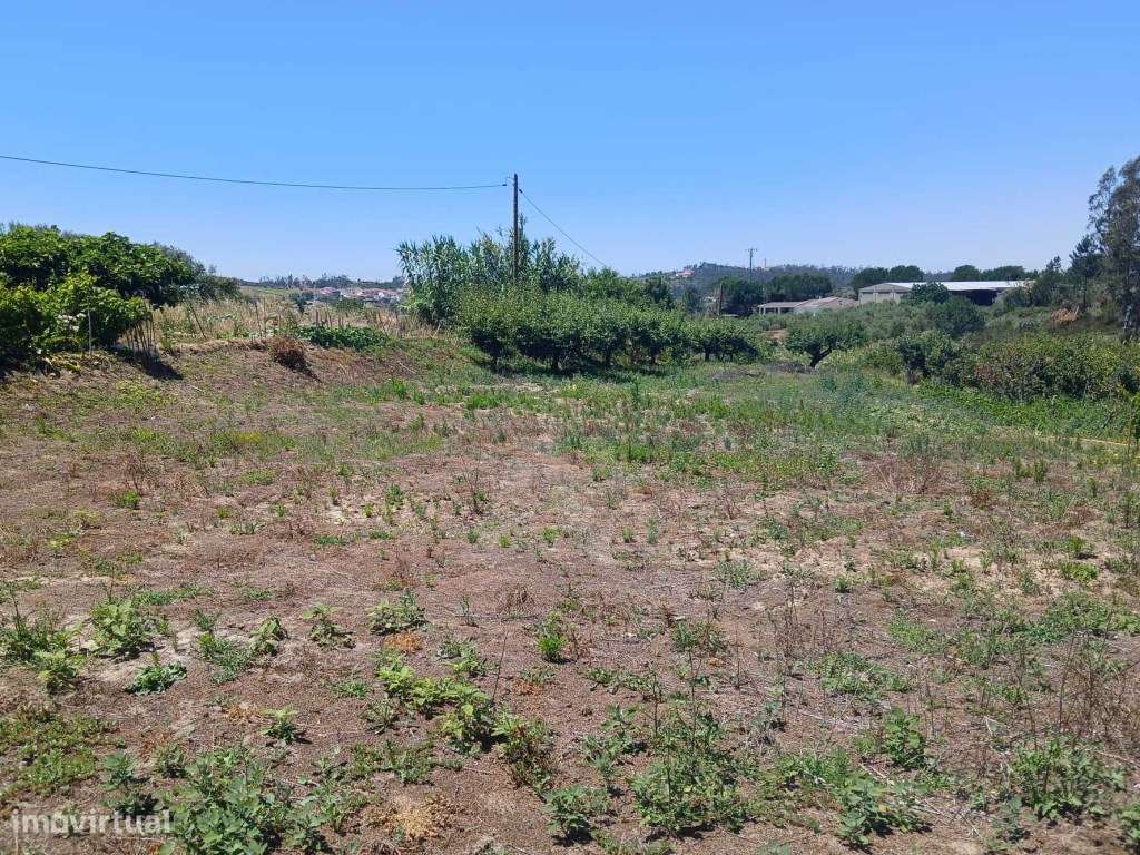 Terreno com projeto aprovado para moradia T3, em Cortes, Leiria.-9