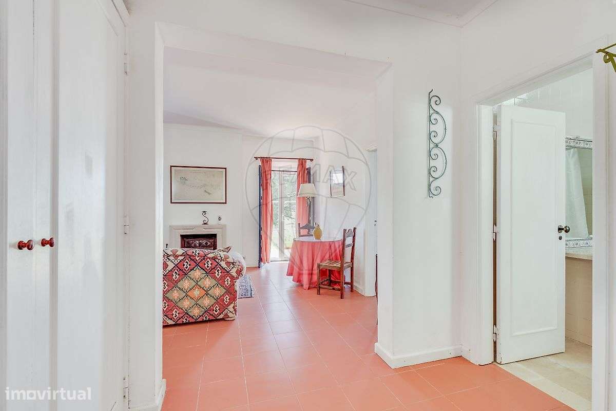 Quinta T21 para venda-14