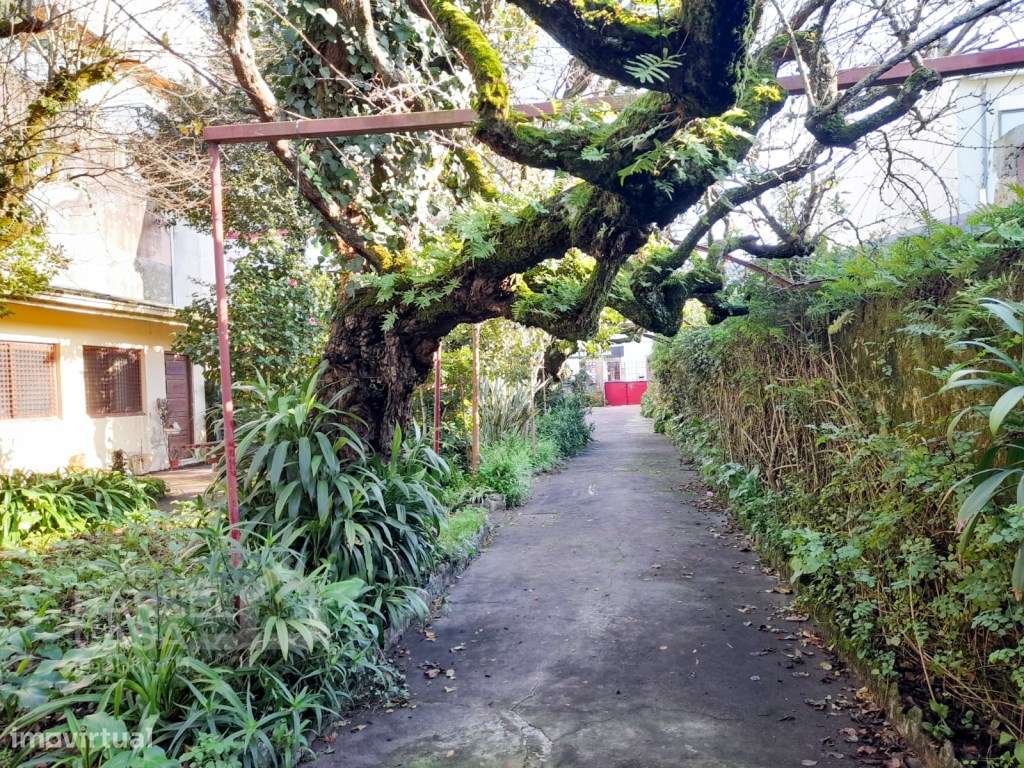 Moradia histórica no coração da Póvoa de Varzim-33