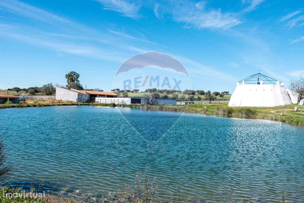 Quinta T7 para venda - Grande imagem: 4/37