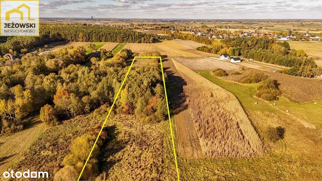 2,28 ha działka z częścią bud. – Starachosław - Pełny obrazek: 5/5