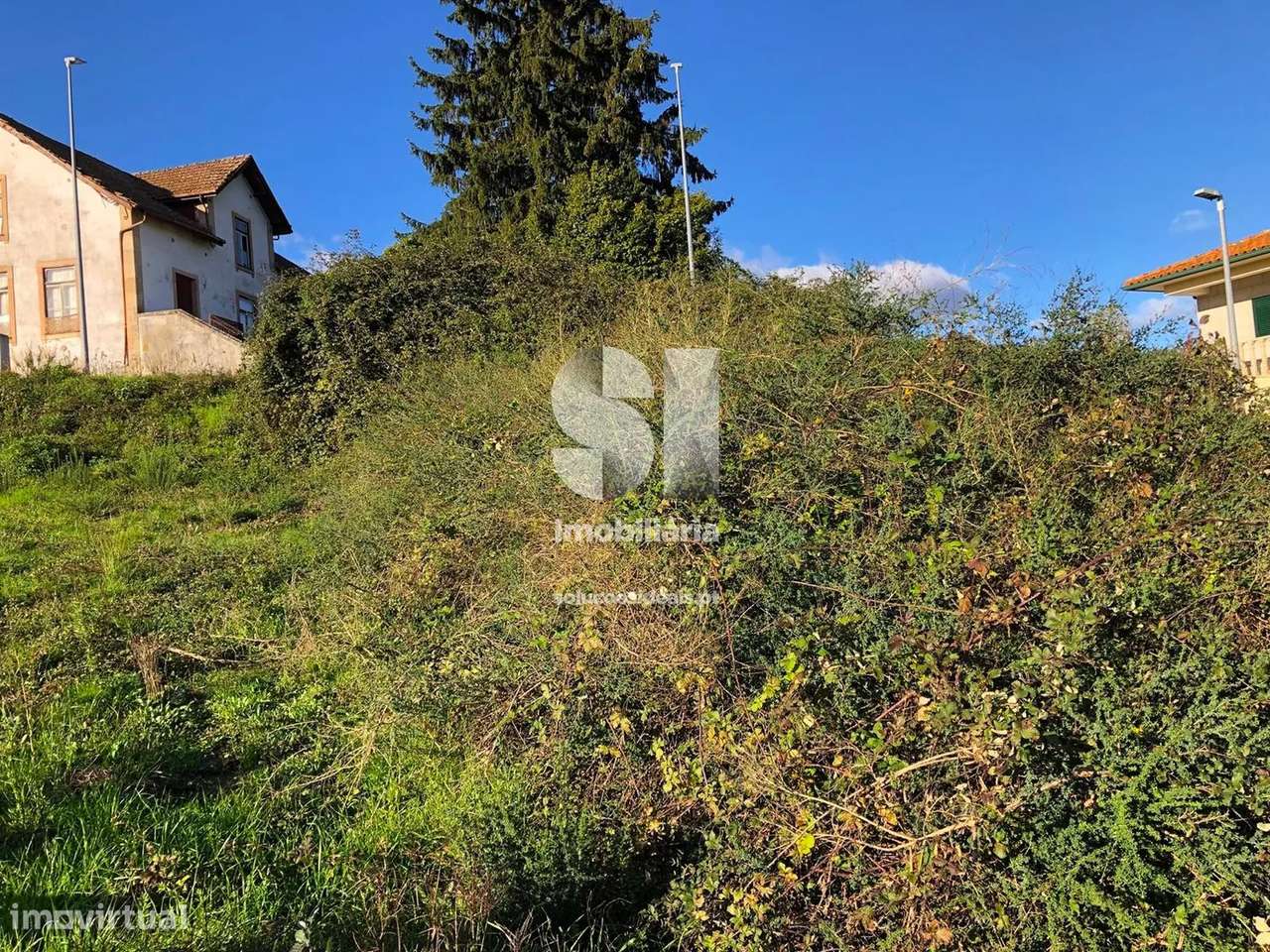 Terreno em Sabrosa - Grande imagem: 5/16