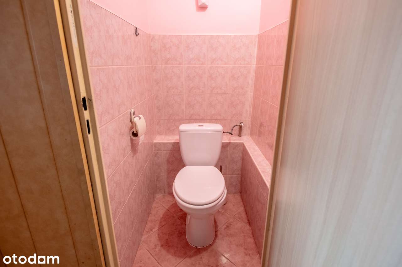 Mieszkanie przy jeziorze swarzędzkim, cicha i spokojna okolica-12