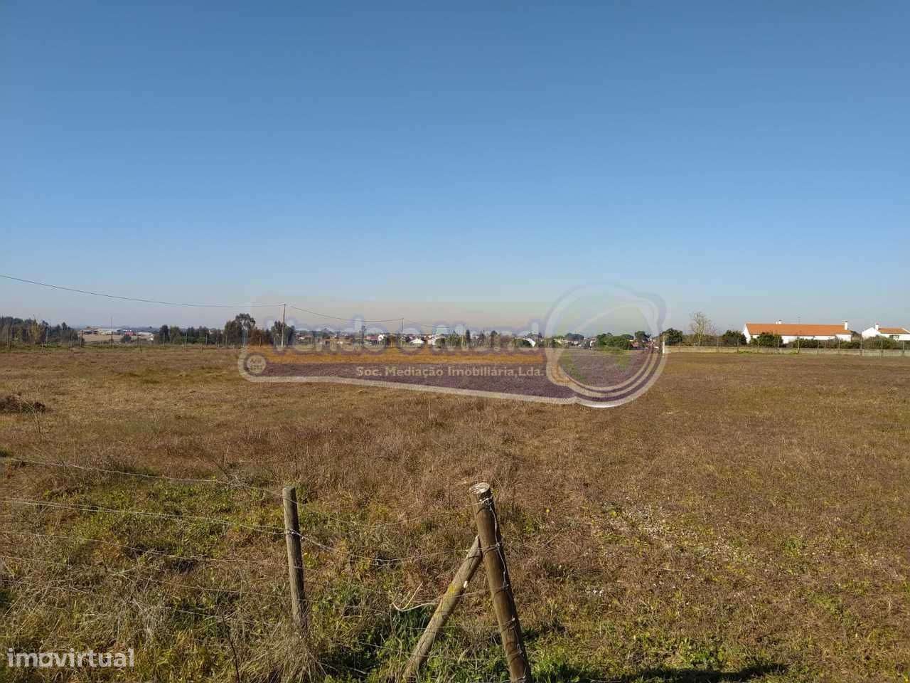 Terreno em Foros de Salvaterra (F615) - Grande imagem: 4/12