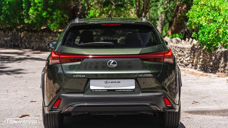 Lexus UX 250h Sport (Ecrã 12.3) - 5