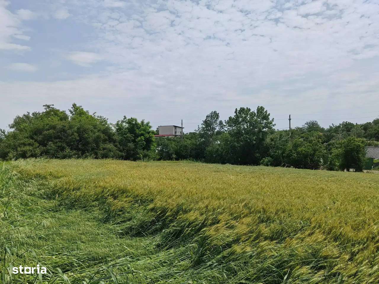 Teren Intravilan Tancabesti 3139mp I Utilitati I Snagov I Parcelabil - Imagine principală: 5/6