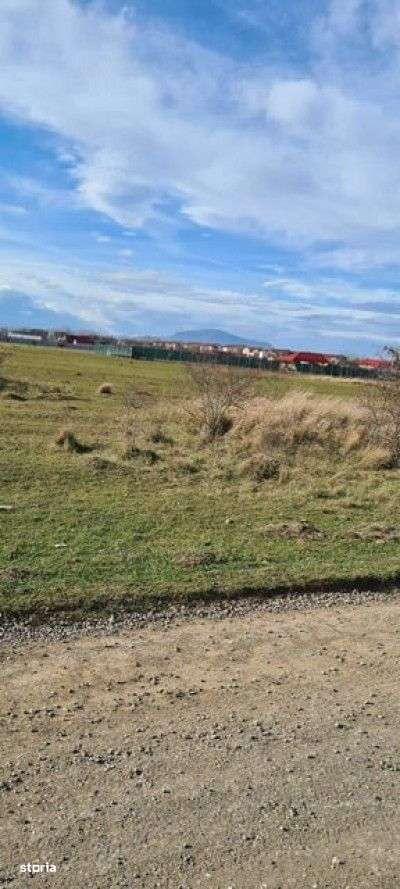 Teren 400 mp Sanpetru Intravilan - Imagine principală: 2/4