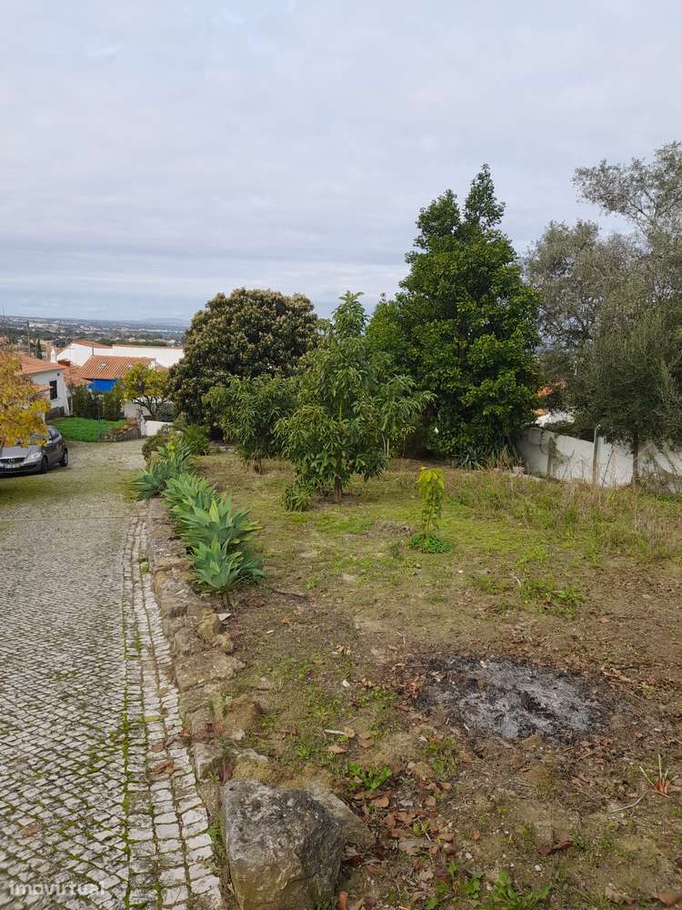 Azeitão/ Parque Natural Arrábida Quinta 7250 m2 com Moradia-33