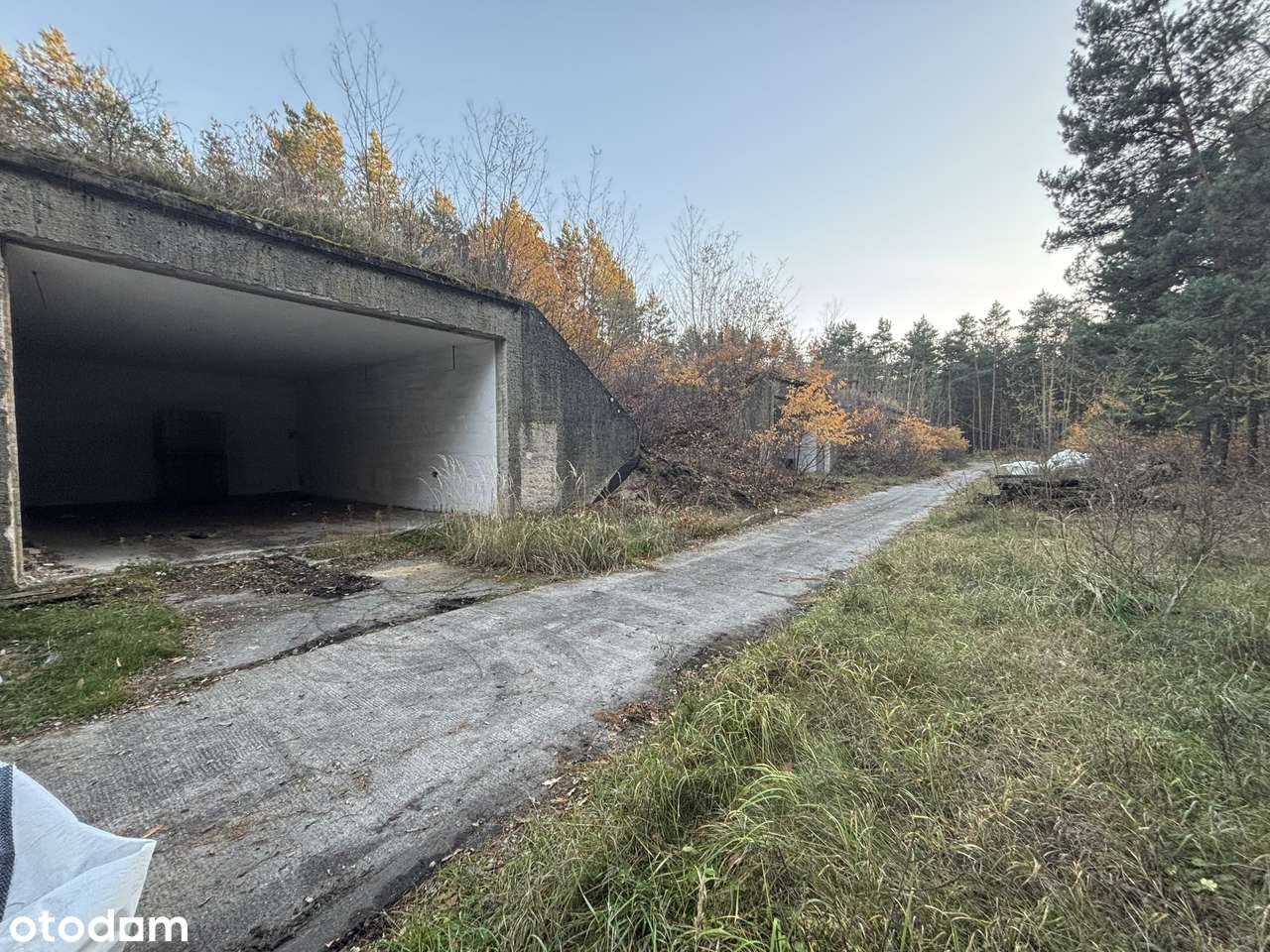 Działka inwestycyjna 1,666 ha - Brożek, Lubuskie-11