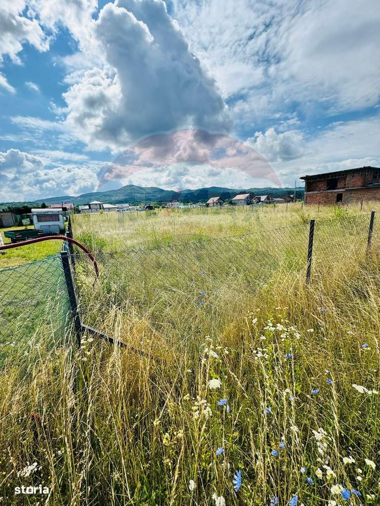 Teren 1,016mp Sighetu Marmatiei / Strada Doboies - Imagine principală: 4/5