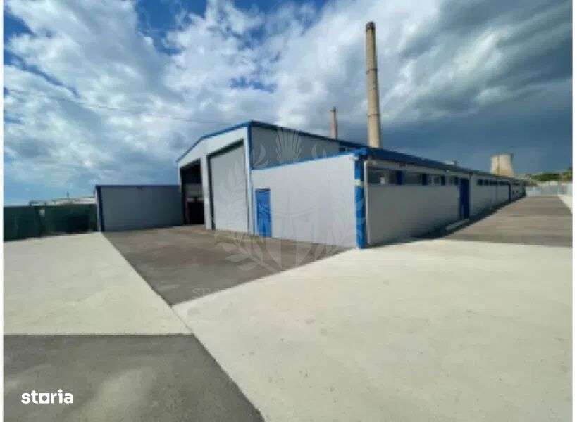 HALA 1800 MP//PLATFORMA BETONATA 5200 MP//ZONA BRAZI - Imagine principală: 4/13