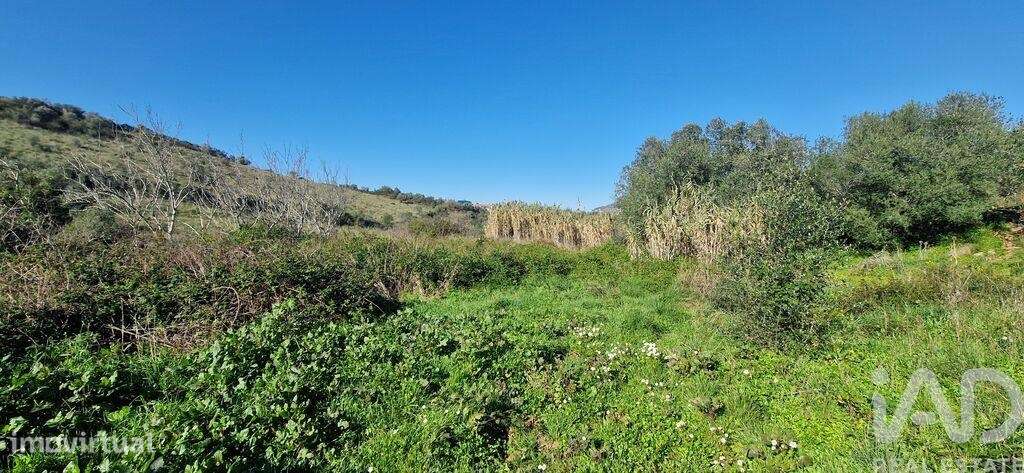Terreno em Venda do Pinheiro e Santo Estêvão das Galés de 11625,00 m2 - Grande imagem: 5/9