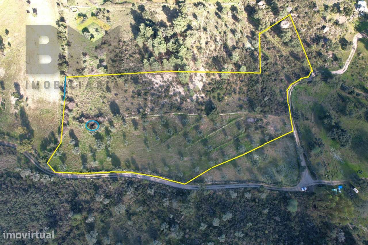 Quintinha  Venda em Salgueiro do Campo,Castelo Branco - Grande imagem: 2/7