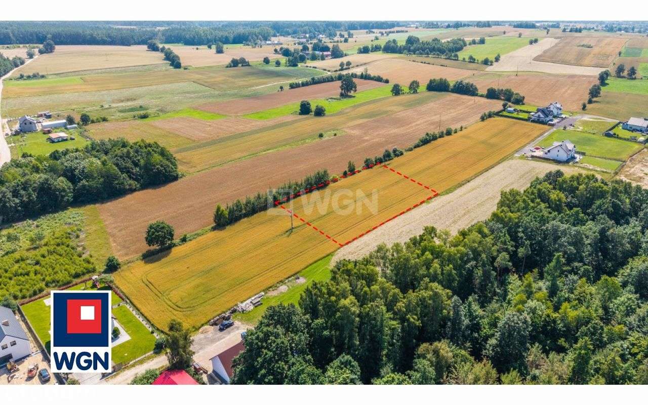 Działka 3000 m2 w Szemudzie - idealna pod dom, usł - Pełny obrazek: 4/6