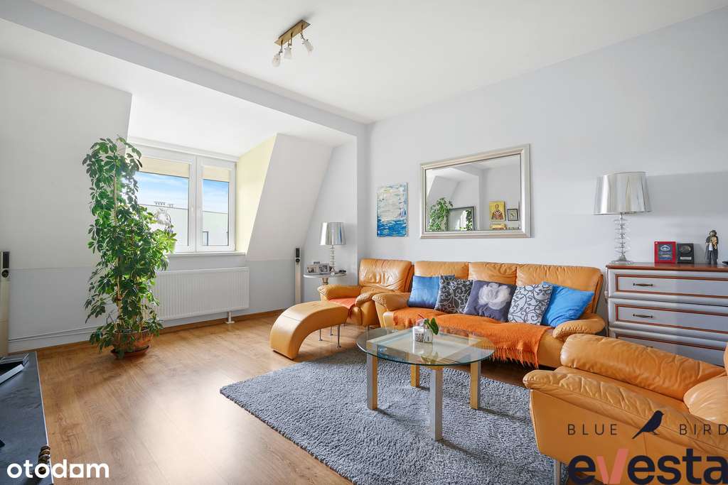 Mieszkanie kamienica blisko parku, 100m komórka - Pełny obrazek: 2/19