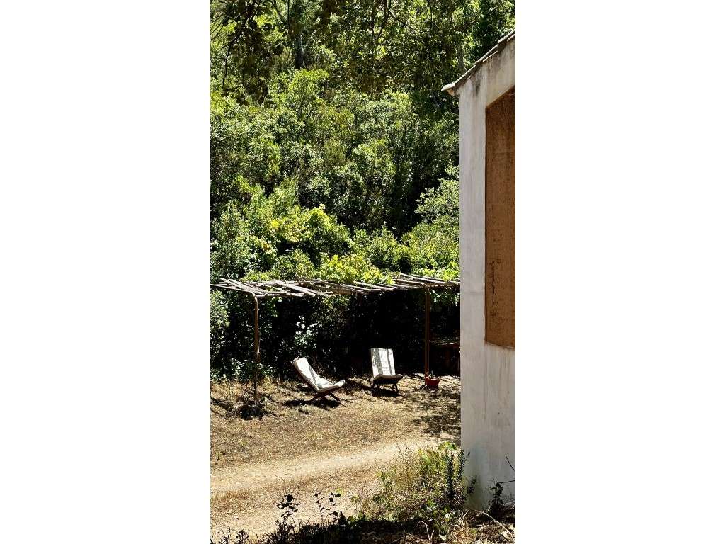 CASAS de CAMPO (3 Prédios)-35