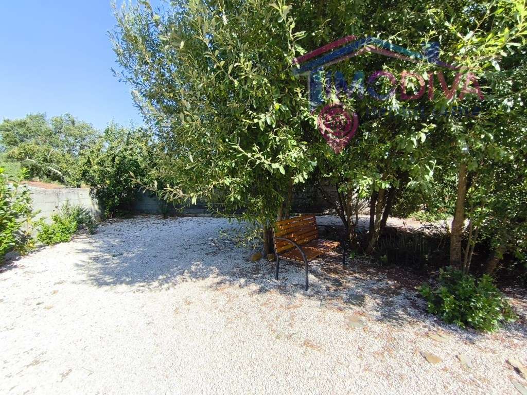 Moradia T3 recentemente renovada, com jardim em Graça, Pedrogão Grande-56