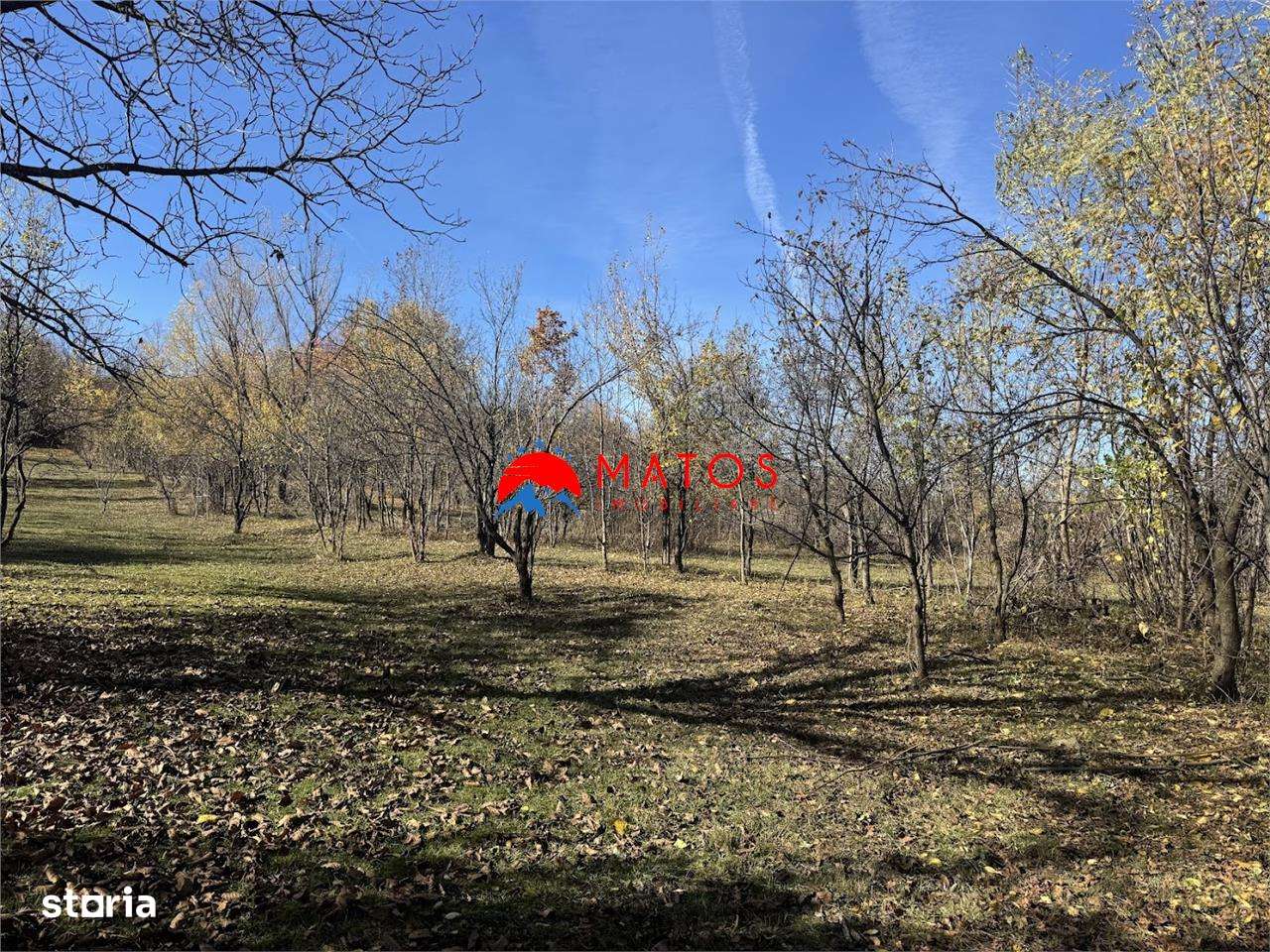 Teren intravilan 6.842 mp de vanzare in Poiana Campina, vedere placuta-2