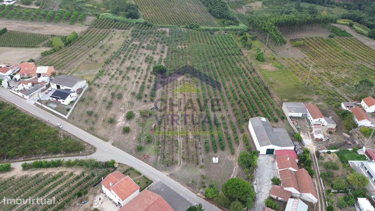 Terreno Rústico Construtível c/ 7.859 m2 Carvalhal - Bombarral-14