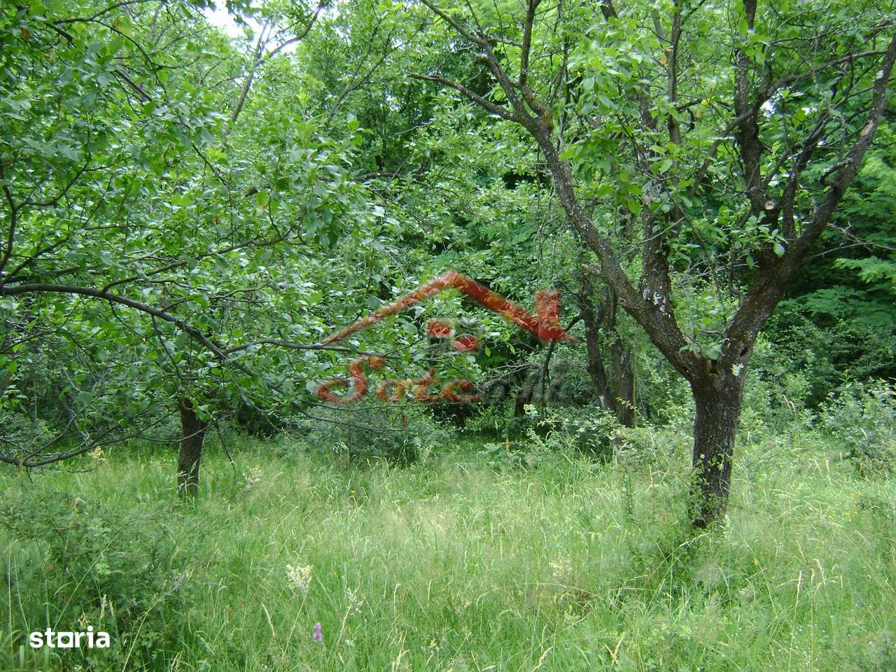 Teren de vanzare Cornu 3074 mp-8