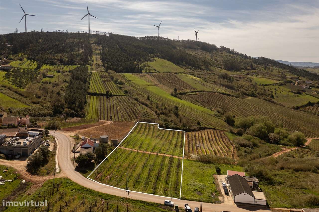 Terreno 7440m2  potencialmente Urbanizável Distrito de Lisboa - Grande imagem: 5/7
