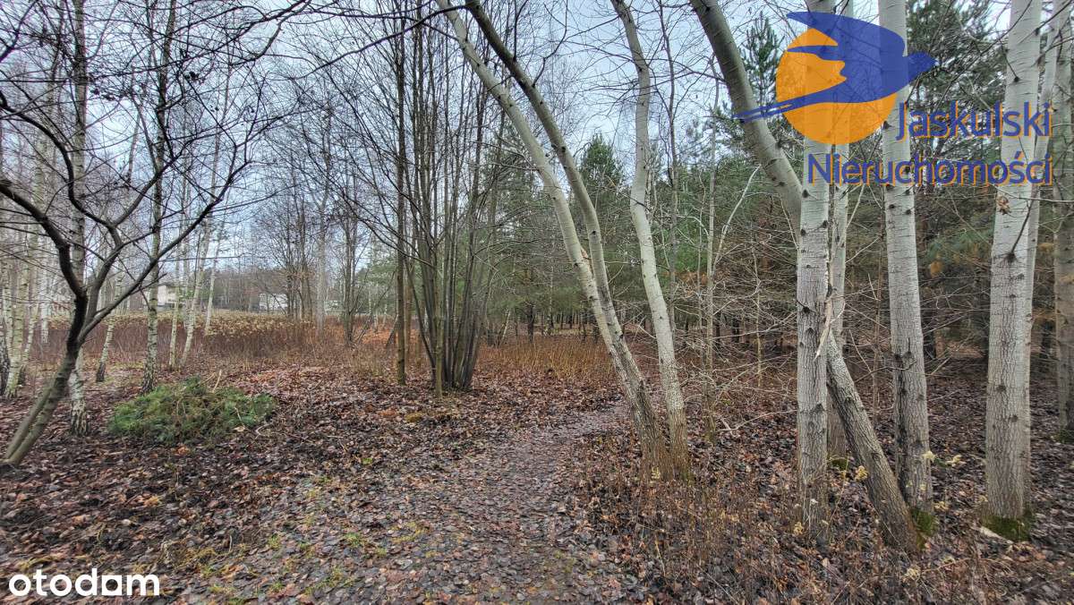 Warunki zabudowy - Pełny obrazek: 3/12