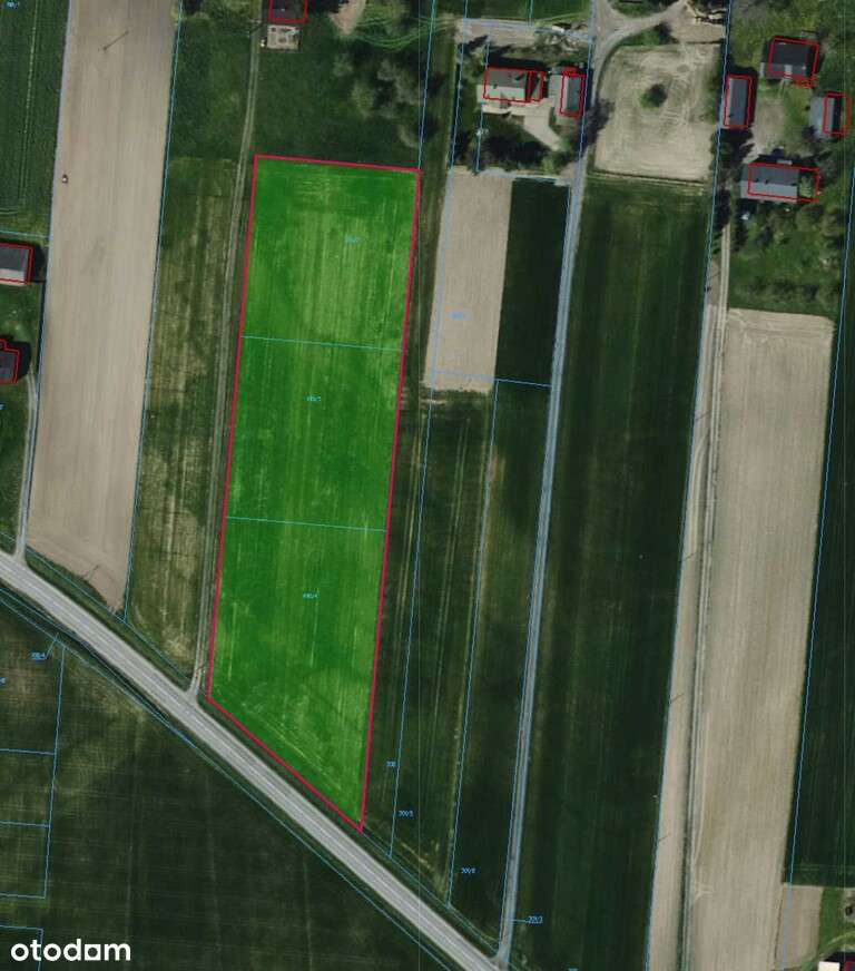 Urokliwe działki siedliskowe 3000m2-10 000m2 - Pełny obrazek: 4/9