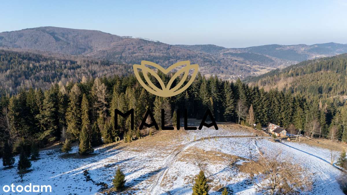 Unikalna i widokowa działka w Malowniczej Zawoi – Hala barankowa-10
