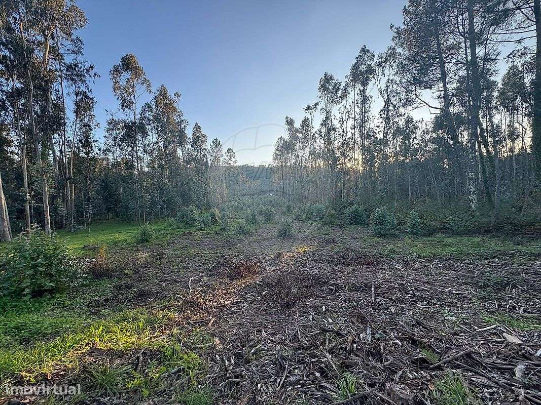 Terreno  para venda - Grande imagem: 4/14