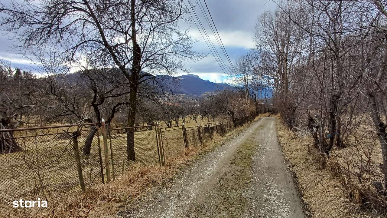 Teren pozitionare excelenta in Bran - ideal pensiune/casa de vacanta - Imagine principală: 4/7