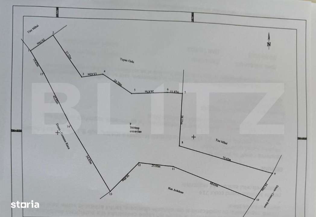 Teren extravilan 7000 mp, Rasca - Imagine principală: 4/4