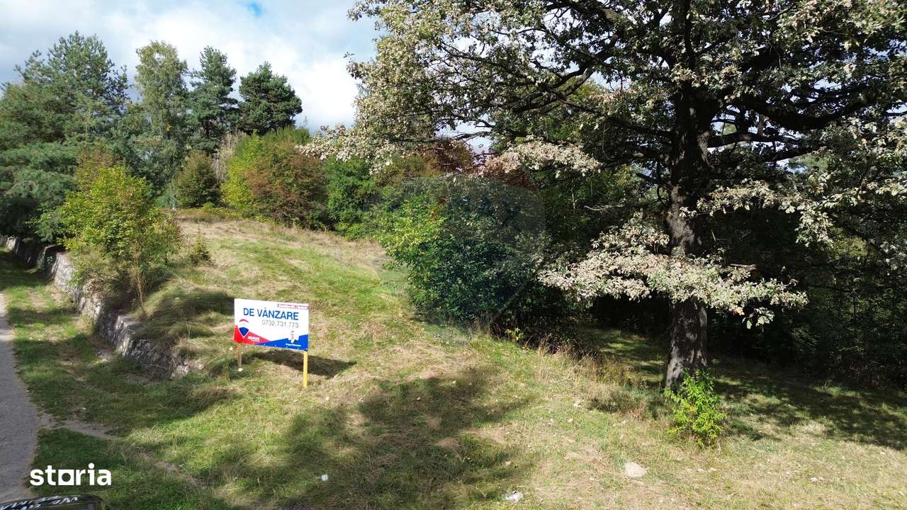 De vânzare – Teren 5.193 mp, pășune parțial împădurită, Câmpulung - Imagine principală: 1/3