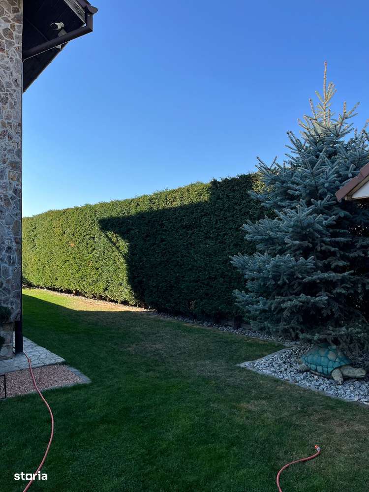 Casă fam.Oncea, 795mp teren, 2 terase,beci, piscina,panouri solare-19