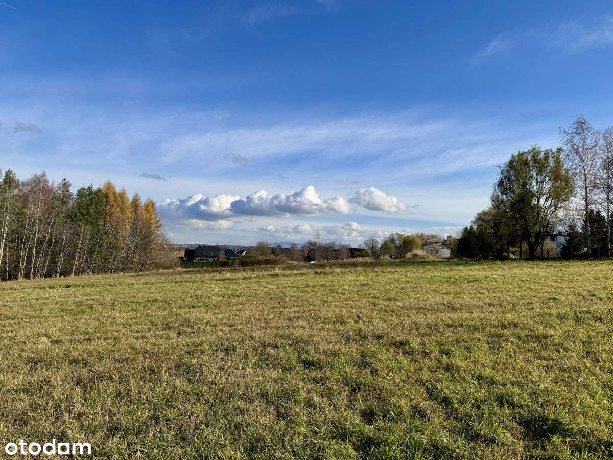 Kompleks działek 7159m² w Rudzicy – MPZP i media-0