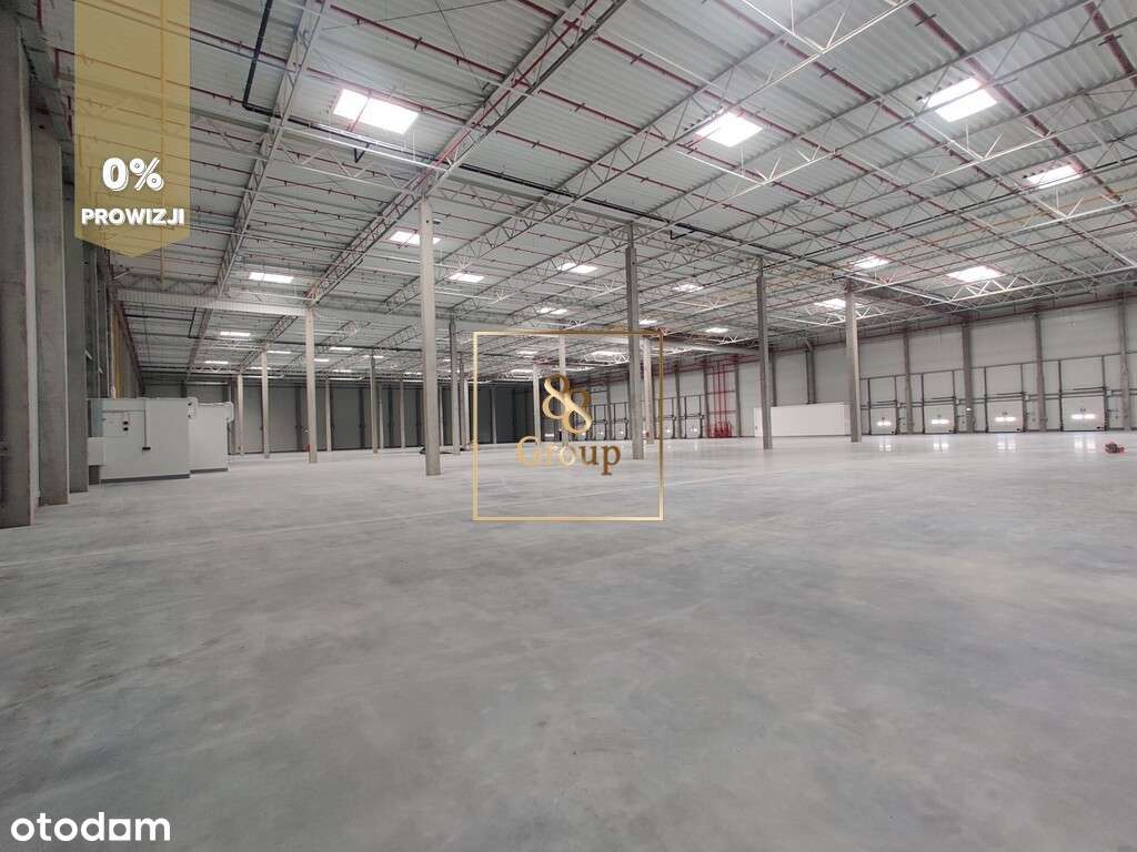 Hala 1080 m2 wysokie składowanie. Stary Konik - Pełny obrazek: 2/6