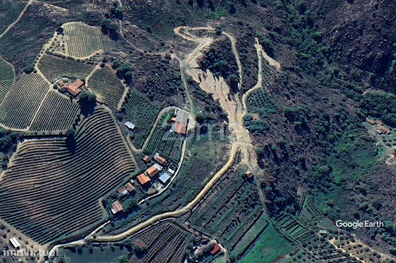 Terreno rustico , lugar do Plames, Murça-6