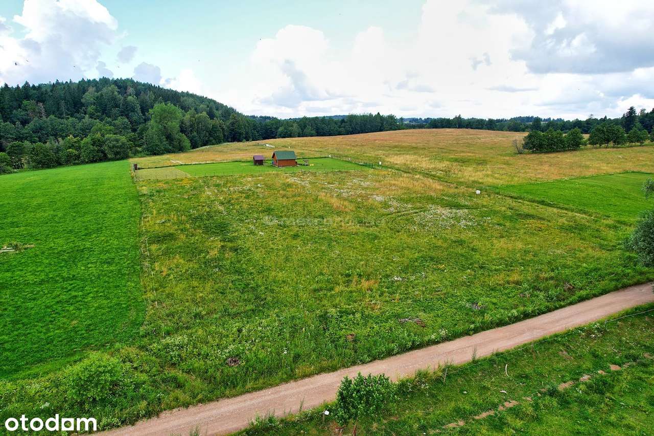 * Działki budowlane wśród lasów pod Szeską Górą * - Pełny obrazek: 4/5